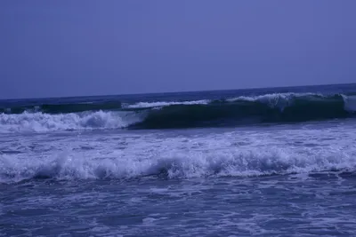 DSC_2192 (Large).JPG